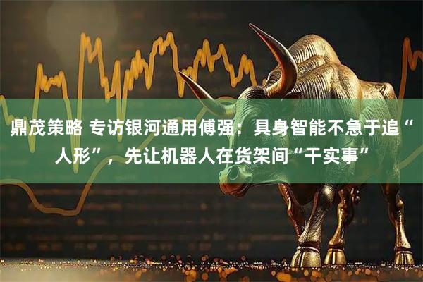 鼎茂策略 专访银河通用傅强：具身智能不急于追“人形”，先让机器人在货架间“干实事”