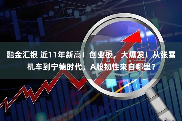 融金汇银 近11年新高！创业板，大爆发！从张雪机车到宁德时代，A股韧性来自哪里？
