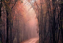 地方配资网:股票在哪里开户最正规-“抛售美国”交易重现？澳大利亚第二大养老基金削减美债持仓